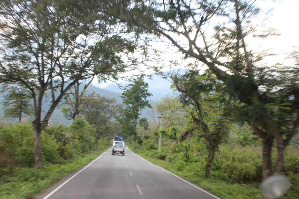 Lower Plains of Darjeeling